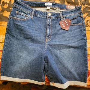 Womens plus size Ava Viv shorts
